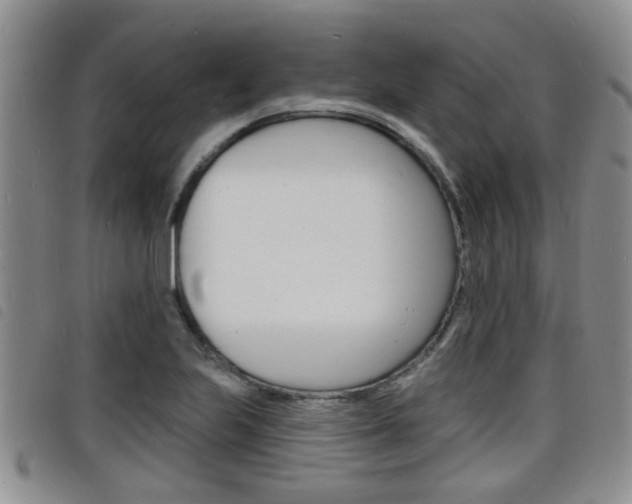 X0000098201223200804241031
