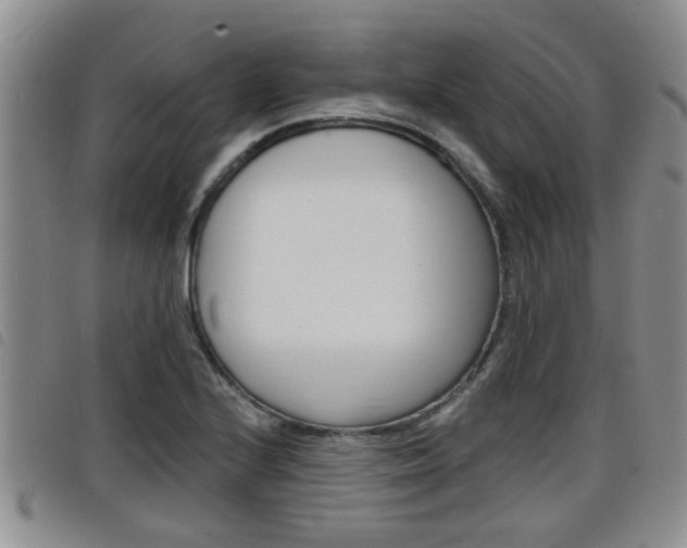 X0000098201224200804241031