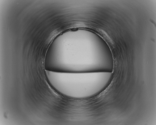 X0000098201225200804241031