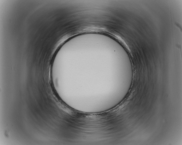 X0000098201227200804241031