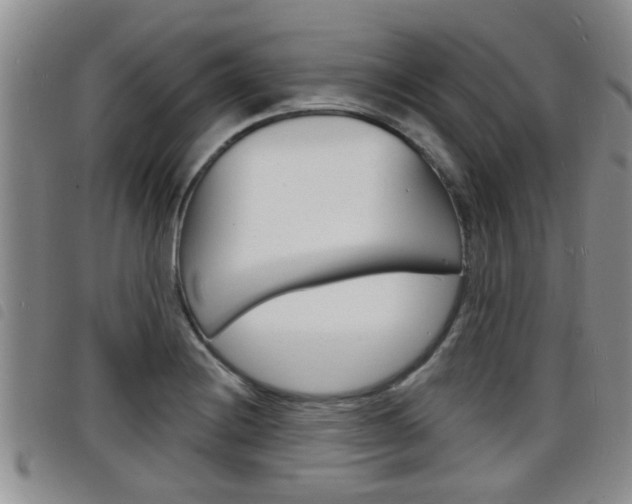 X0000098201228200804241031