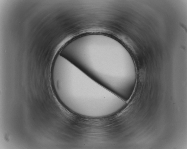X0000098201229200804241031