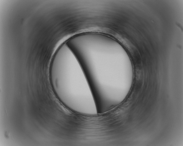 X0000098201230200804241031