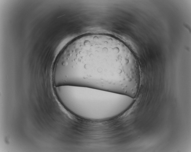 X0000098201231200804241031