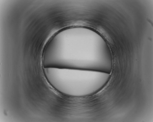 X0000098201232200804241031