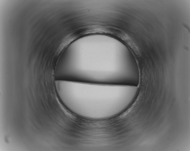 X0000098201233200804241031