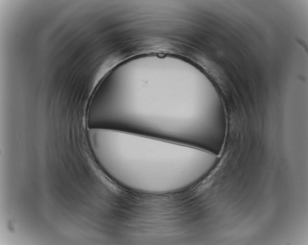 X0000098201234200804241031