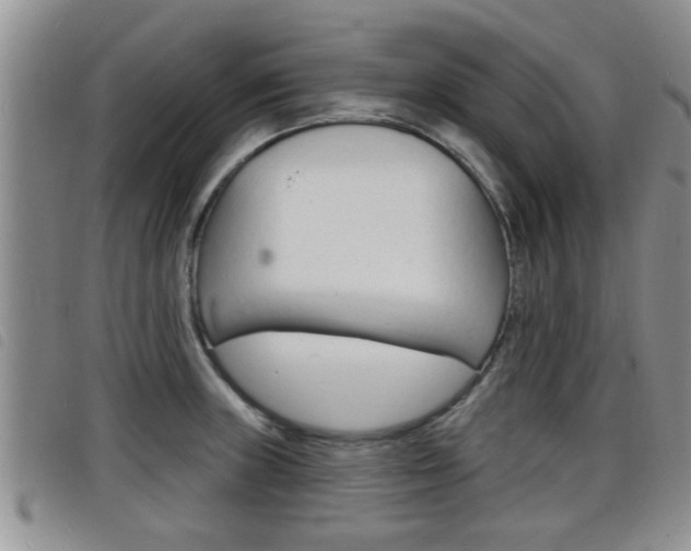 X0000098201235200804241031