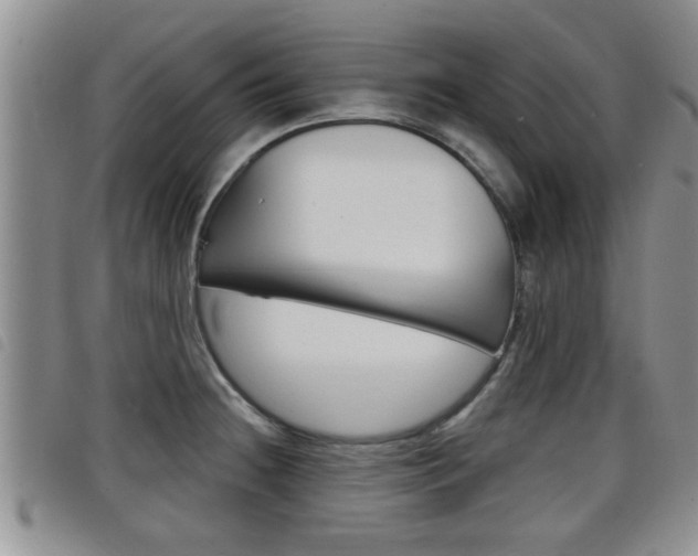 X0000098201236200804241031