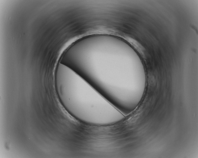 X0000098201238200804241031
