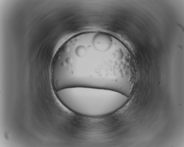 X0000098201239200804241031