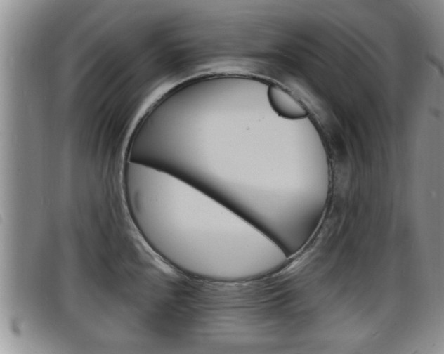 X0000098201240200804241031