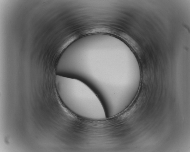 X0000098201241200804241031