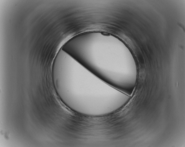 X0000098201242200804241031