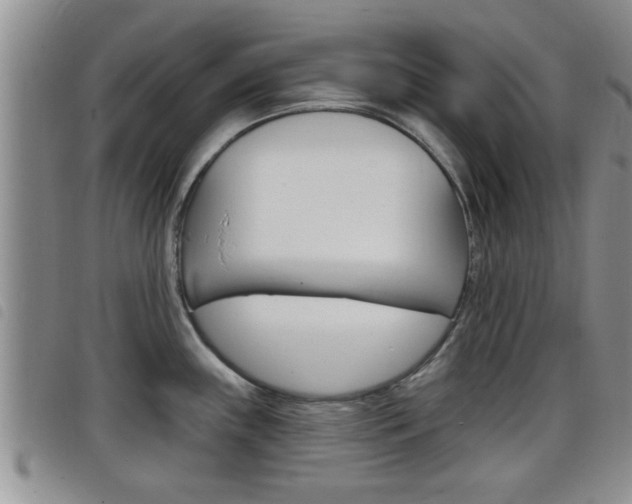 X0000098201243200804241031