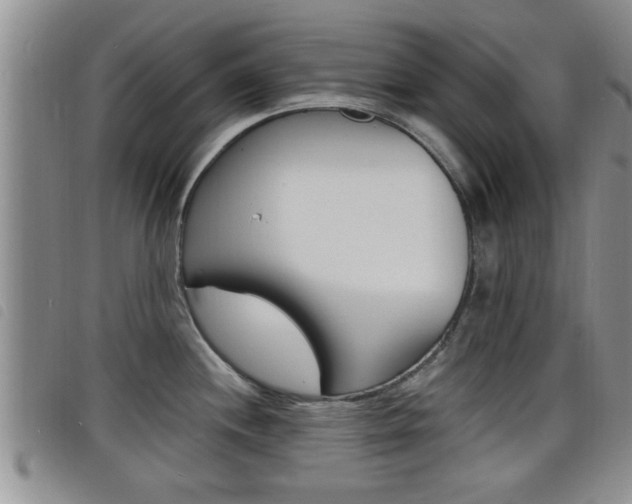 X0000098201244200804241031
