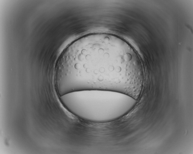 X0000098201245200804241031
