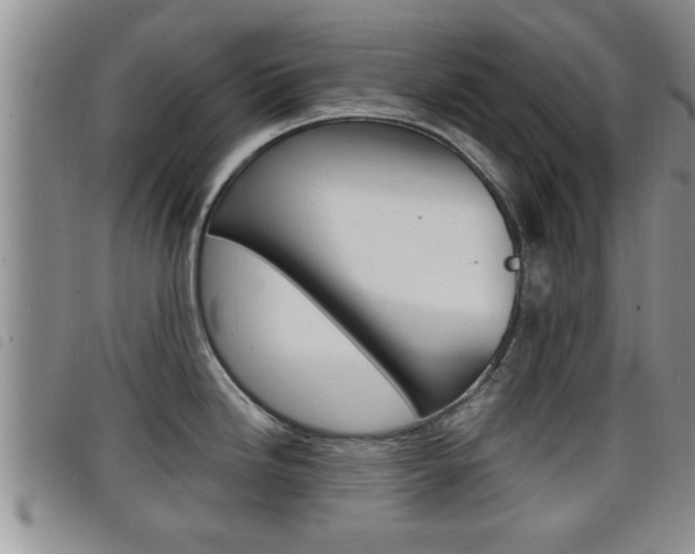 X0000098201246200804241031