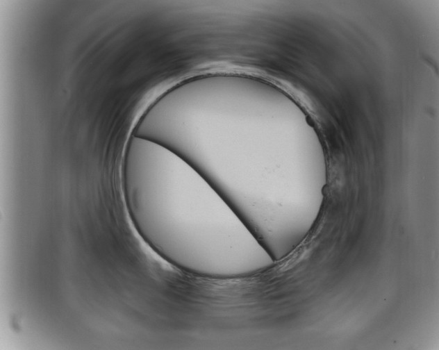 X0000098201247200804241031