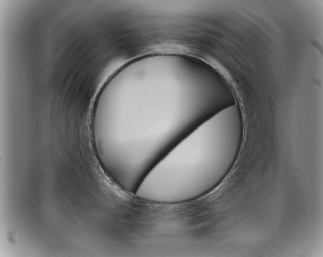 X0000098201248200804241031