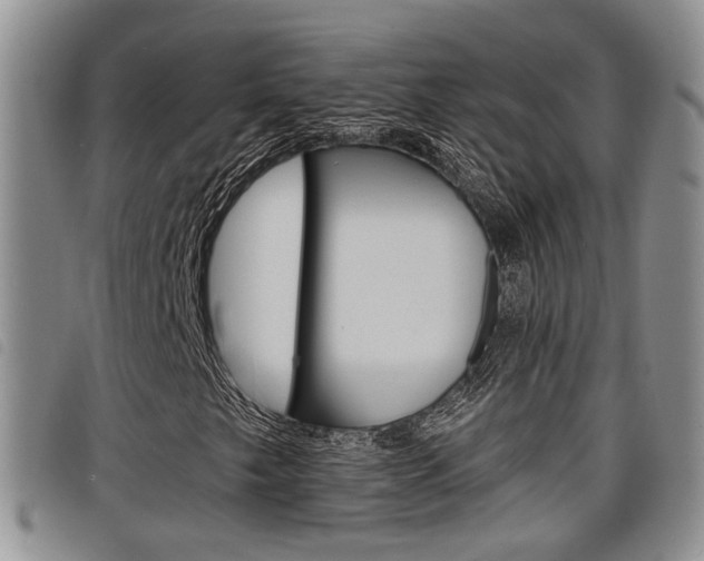 X0000098201249200804241030