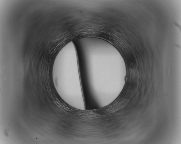 X0000098201250200804241030