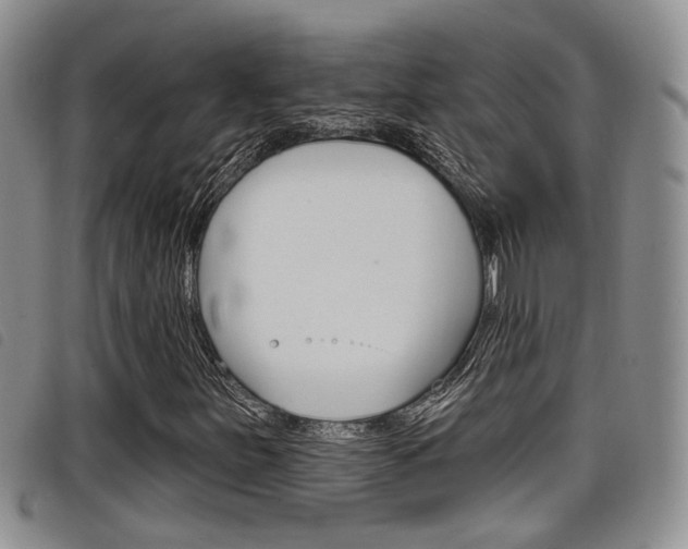 X0000098201251200804241030