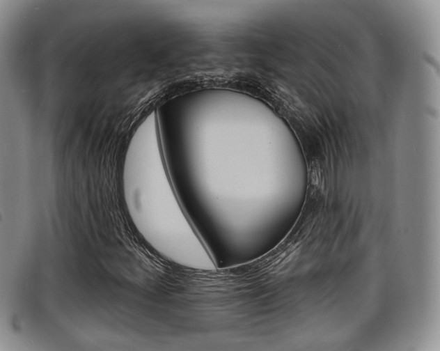 X0000098201252200804241030