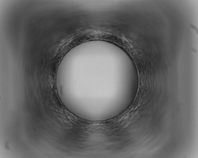X0000098201253200804241030