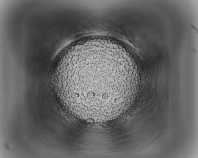 X0000098201255200804241030