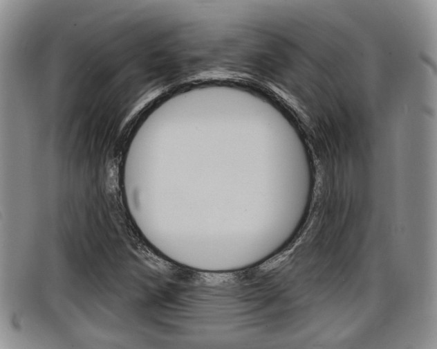 X0000098201258200804241030
