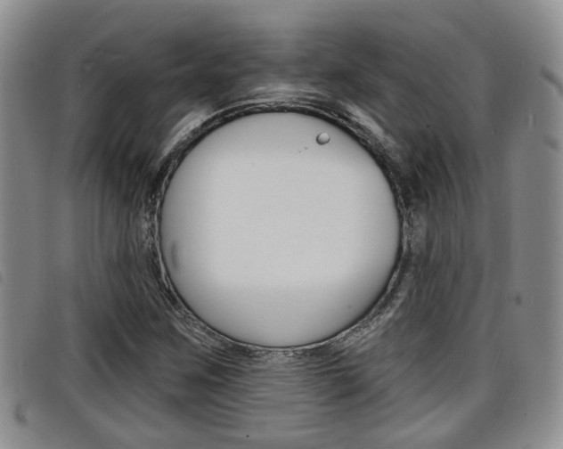 X0000098201259200804241030