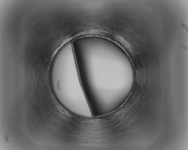 X0000098201260200804241030