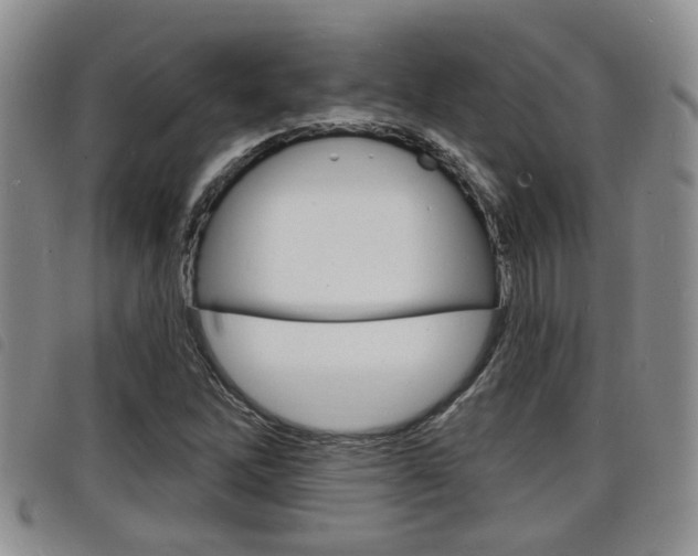 X0000098201262200804241030
