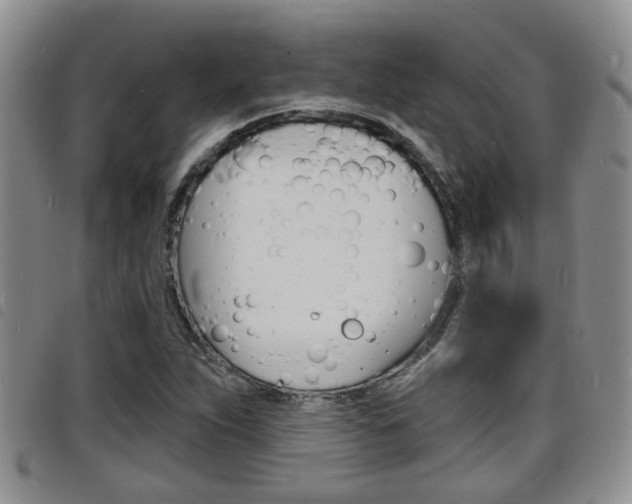 X0000098201263200804241030