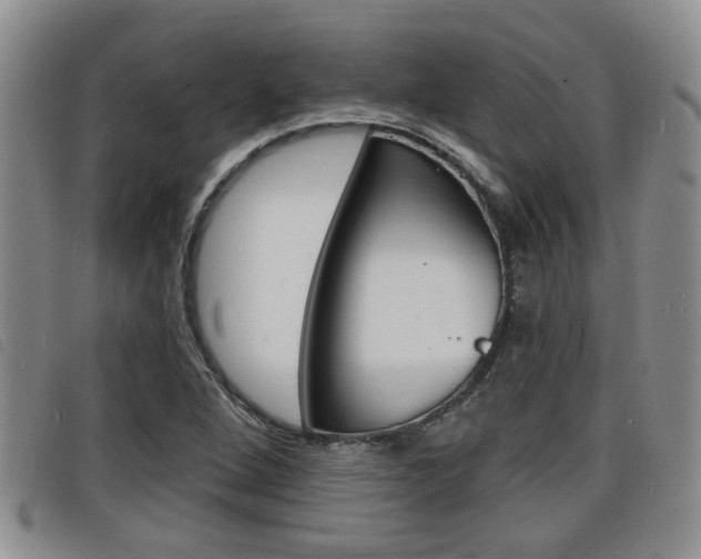X0000098201264200804241030