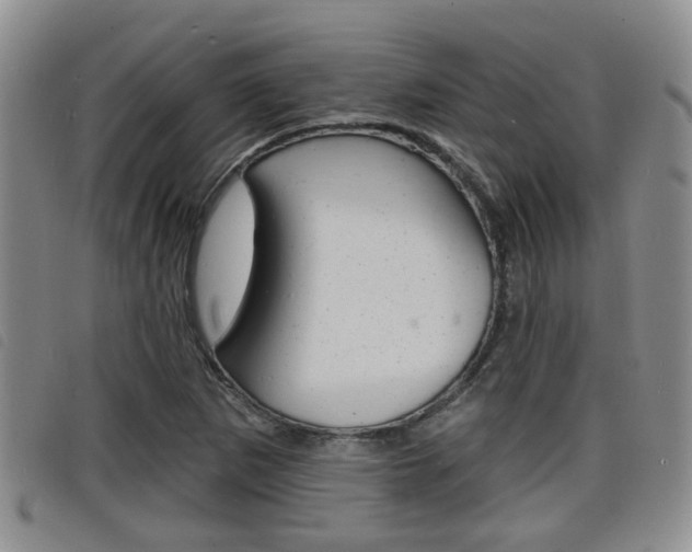 X0000098201265200804241030