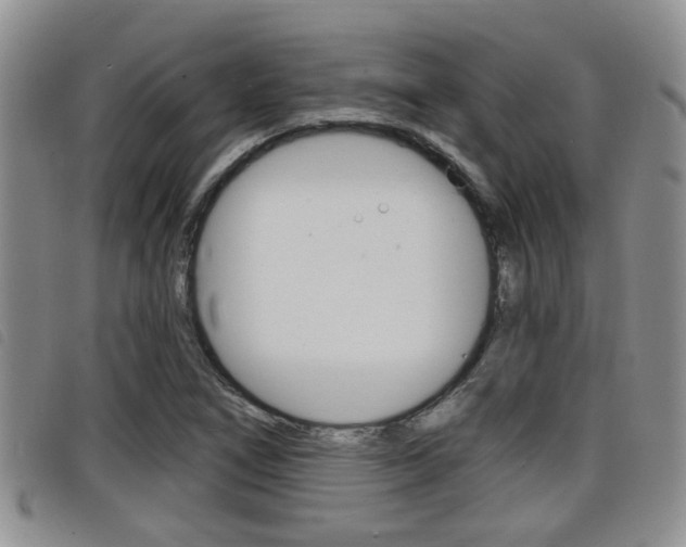 X0000098201266200804241030