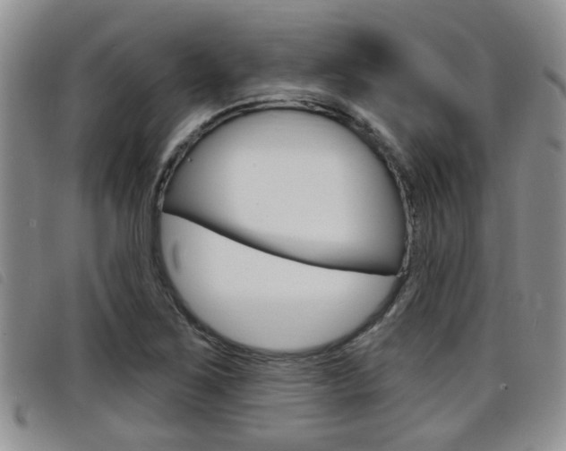X0000098201267200804241030
