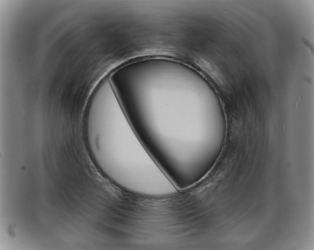 X0000098201268200804241030