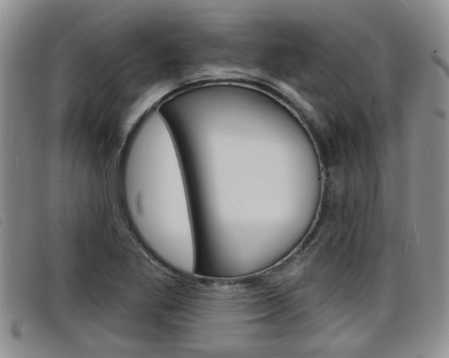 X0000098201269200804241030