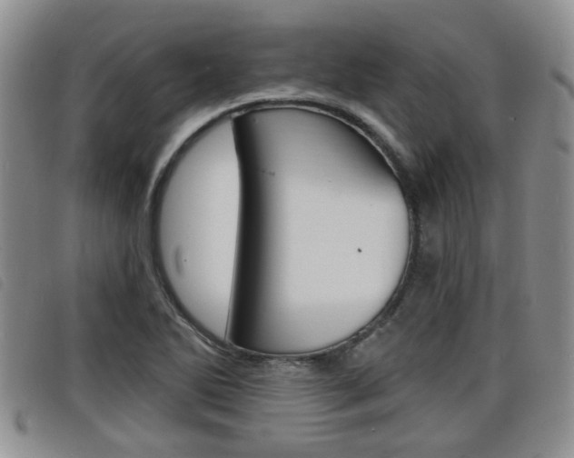X0000098201270200804241030