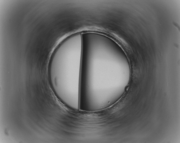 X0000098201272200804241030