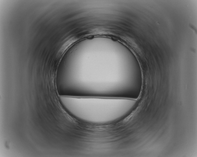 X0000098201273200804241030