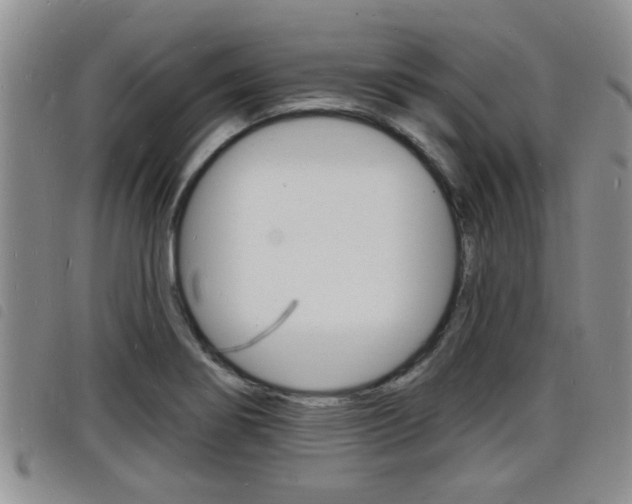 X0000098201274200804241030