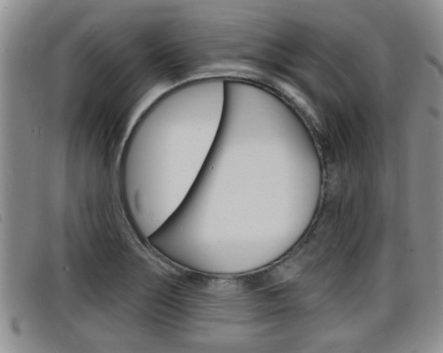 X0000098201275200804241030
