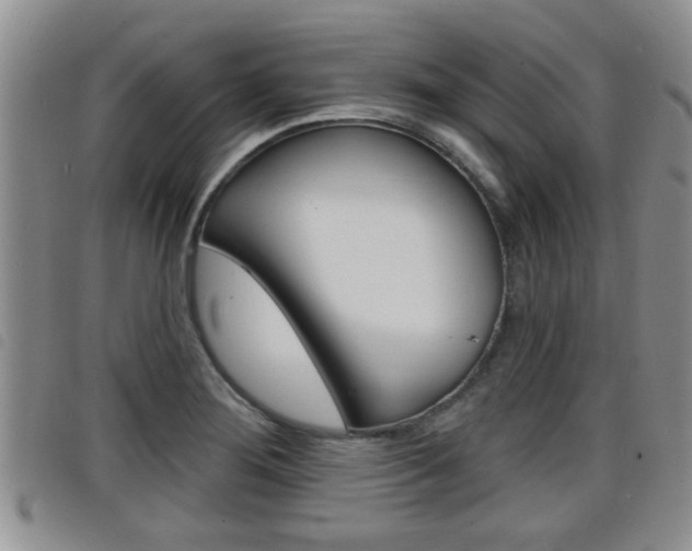 X0000098201276200804241030