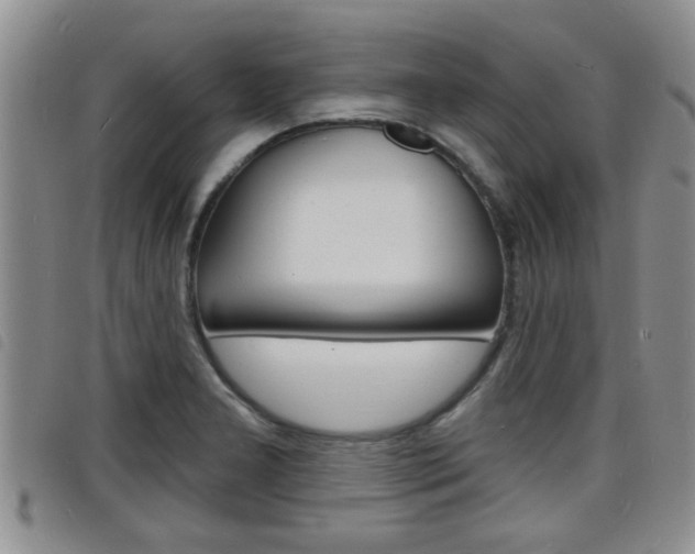 X0000098201277200804241030