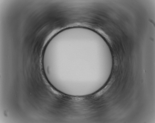 X0000098201278200804241030