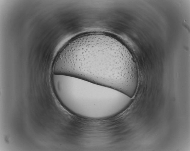 X0000098201279200804241030
